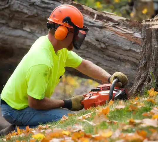 tree services Gibsonville